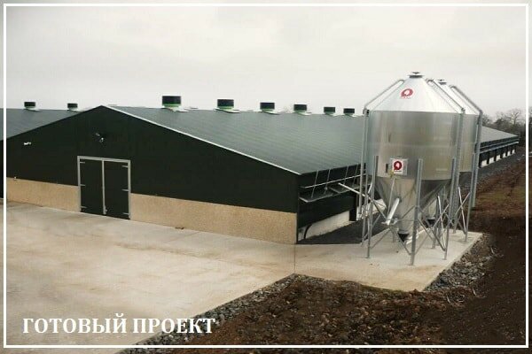 Этапы возведения птицефабрики от завода ВелесТент-срн
